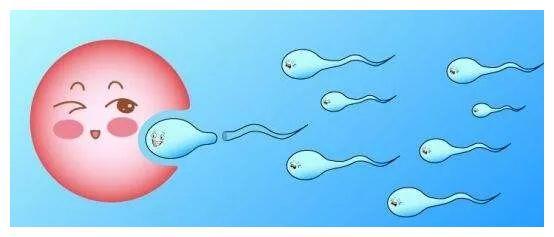 预产期计算方法