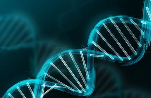 预产期计算器在线计算孕周