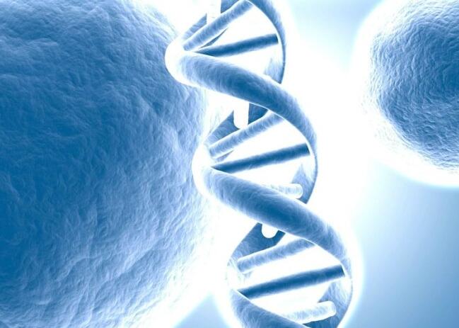 验孕棒一深一浅