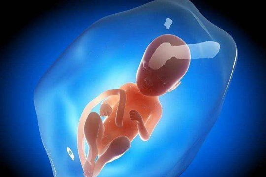 预产期误差范围