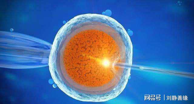 预产期计算器软件