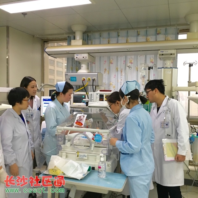 预产期计算器查询