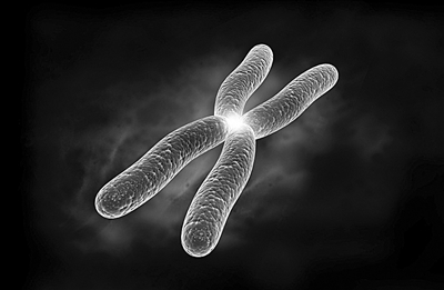 验孕棒c区一条杠