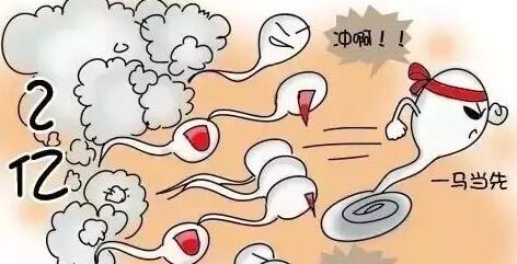 预产期在线计算公式小娃子