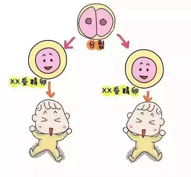 预产期在线计算方法