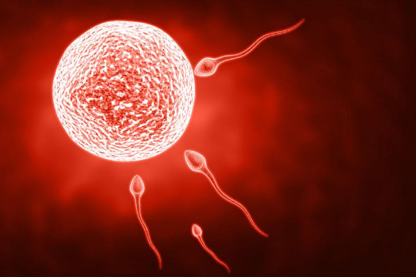 一深一浅没怀孕的图片