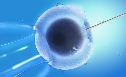 预测胎儿体重计算器