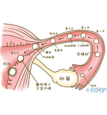 验孕棒一深一浅虚惊一场