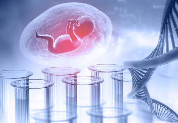 预产期计算器公式在线