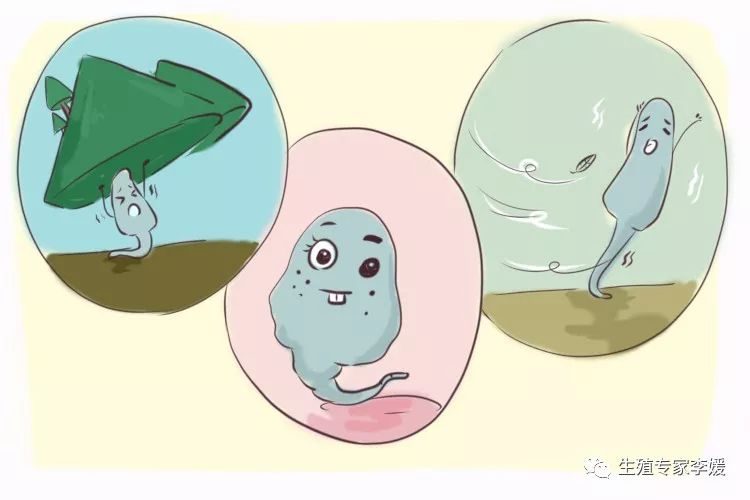 怀孕初期验孕棒