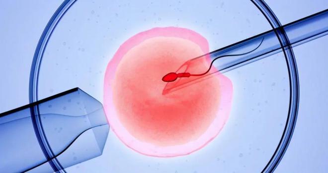 南京试管婴儿正规中介