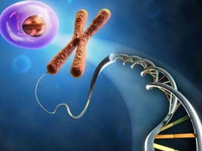 南京试管婴儿正规中介